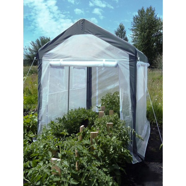 Jewett Cameron Spring Gardener 6 Ft. W x 8 Ft. D Greenhouse & Reviews